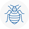 Bed Bug Extermination In Wolverton