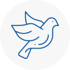 Bird Prevention Wolverton