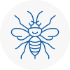 Wolverton Hornet Nest Removals