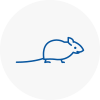 Mice Exterminators In Wolverton