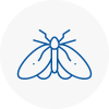 Moth Control Specialists In Wolverton