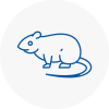 Rat Control Wolverton