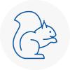 Wolverton Rodent Removals