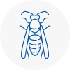 Wolverton Wasp Nest Removal